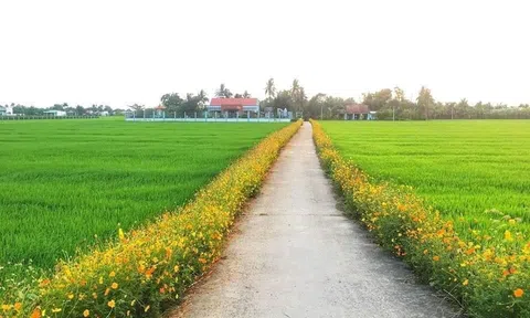 Đẩy mạnh triển khai chương trình xây dựng Nông thôn mới giai đoạn 2021-2025