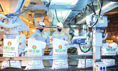 Phân bón Cà Mau vượt chỉ tiêu kế hoạch quý I/2022