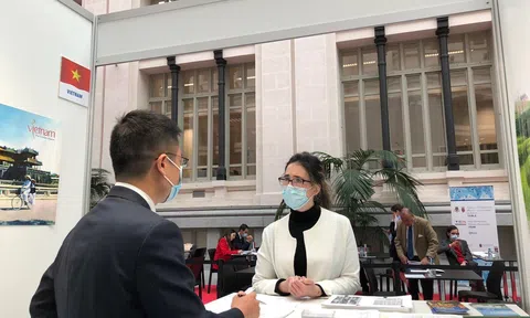 Cơ hội xúc tiến, thúc đẩy xuất khẩu hàng Việt sang thị trường Tây Ban Nha