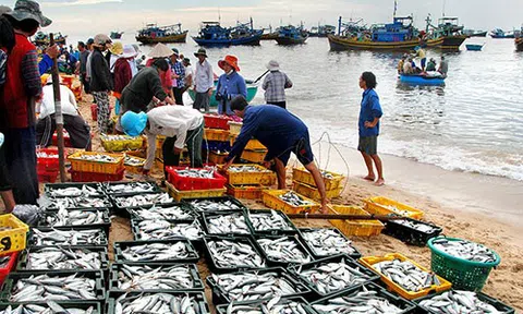 Phê duyệt chương trình điều tra, đánh giá tổng thể nguồn lợi thủy sản trên phạm vi cả nước