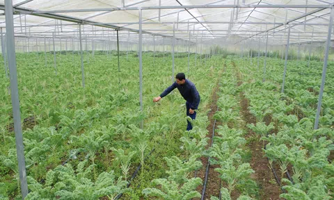 'Cộng hưởng' tư duy đổi thay mang những mùa vui đến Xuân Thượng