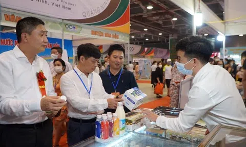 Hơn 200 gian hàng tham gia Hội chợ OCOP Quảng Ninh - Hè 2022