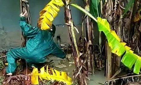 Mưa lớn gây sạt lở, xuất hiện hố sụt sâu trong nhà dân ở Quảng Trị