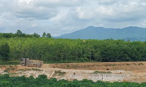 Tăng cường kiểm tra đột xuất trong lĩnh vực môi trường ở Quảng Bình