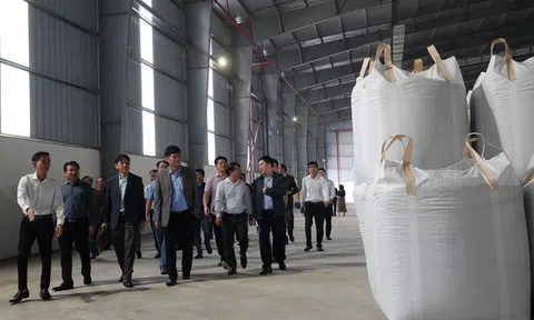 Quảng Bình: Trình diễn kỹ thuật sản xuất viên nén gỗ