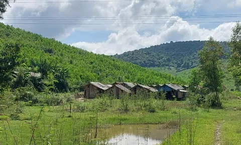 Quảng Bình: Hơn 82 tỷ đồng chi trả giảm phát thải khí nhà kính cho các tổ chức, cá nhân