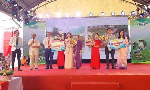 6 quả na - Chi Lăng bán đấu giá 670 triệu đồng