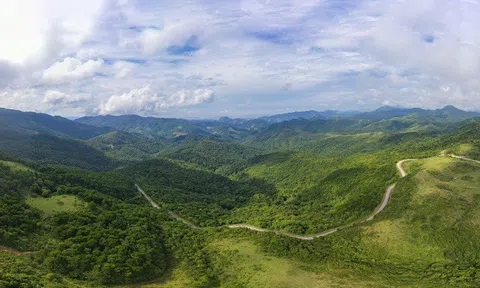 Quảng Ninh: Huyện Ba Chẽ khuyến khích người dân phát triển mô hình trồng rừng gỗ lớn