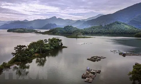 Thi câu cá tại vùng hồ Hoà Bình 