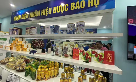 Mở cửa phòng trưng bày “Nhận diện nhãn hiệu được bảo hộ” tại Hà Nội