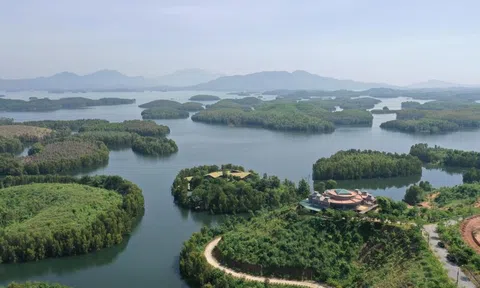 ITD Yên Bái có “cầm đèn chạy trước ô tô”?