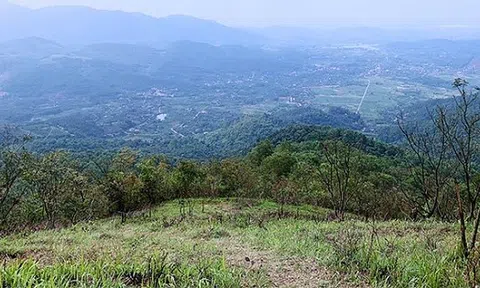 Hải Dương: Thành lập Quỹ Bảo vệ và Phát triển rừng 