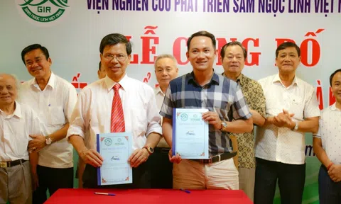 Phân bón Viko Hùng Nguyên góp phần nâng tầm giá trị nông sản