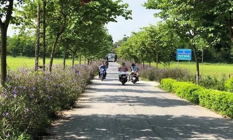 Sóc Sơn có thêm 3 xã đủ điều kiện đạt chuẩn nông thôn mới nâng cao năm 2023