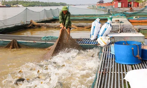 Bắc Ninh chủ động các biện pháp kỹ thuật chăn nuôi thủy sản