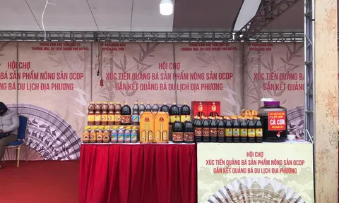 Huyện Sóc Sơn (Hà Nội): 120 gian hàng tham gia Hội chợ Xuân Giáp Thìn