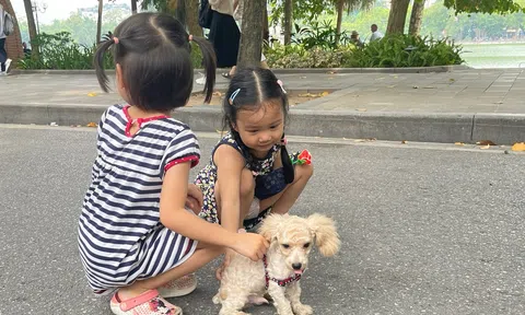 Bắc Giang tăng cường các biện pháp phòng, chống bệnh Dại động vật