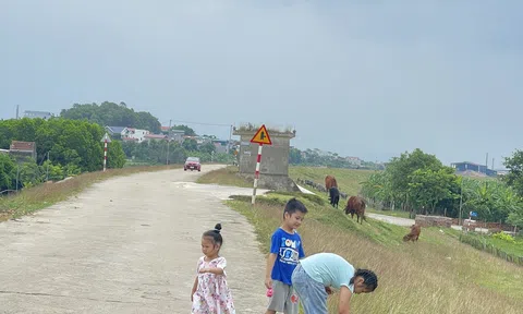 Bắc Giang xử lý nghiêm vi phạm pháp luật về thủy lợi, đê điều, phòng chống thiên tai năm 2024