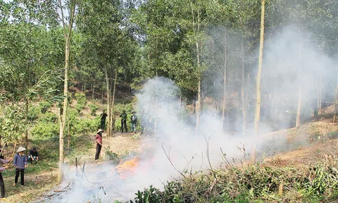 Bắc Giang tăng cường công tác quản lý nhà nước về rừng và đất lâm nghiệp