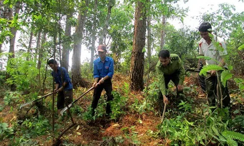 Bắc Ninh tăng cường các biện pháp cấp bách phòng cháy, chữa cháy rừng