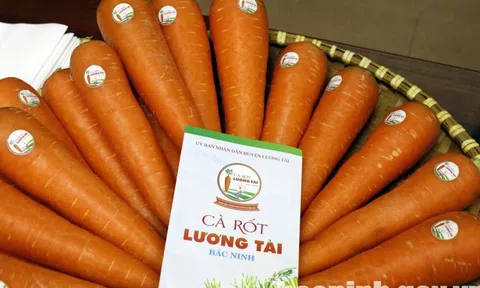 Huyện Lương Tài (Bắc Ninh): Có 2 sản phẩm được cấp văn bằng bảo hộ Nhãn hiệu