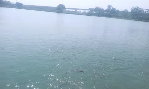 Bắc Ninh xây dựng 3 vùng phát triển nông, lâm nghiệp, thủy sản tập trung