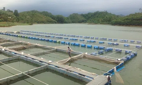 Bắc Giang tăng cường công tác phòng, chống thiên tai trong sản xuất thủy sản 