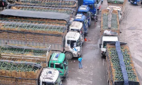 Bắc Ninh: Đảm bảo phòng, chống cháy nổ đối với việc vận chuyển hàng hoá xuất, nhập khẩu