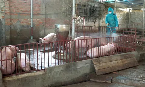 Bắc Giang triển khai Tháng tổng vệ sinh, khử trùng tiêu độc môi trường đợt 2 năm 2024