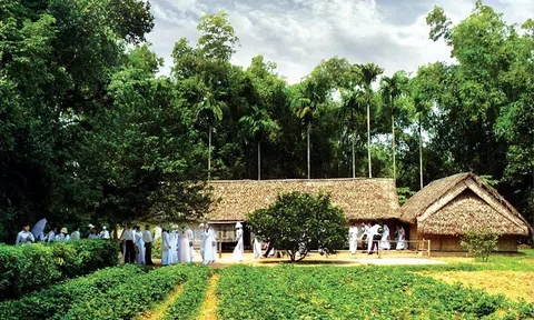 Một chút tâm tình của người Đồng Tháp Sen Hồng xin gửi đến xứ Nghệ thân thương