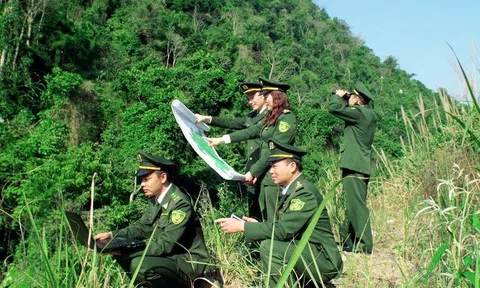 Giá trị kinh tế rừng ngày càng nâng cao