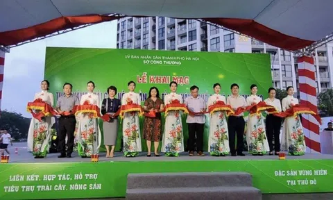 18 tỉnh, thành tham gia 'Tuần hàng trái cây, nông sản Hà Nội'