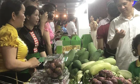 Nông sản sạch Sơn La xuống Thủ đô