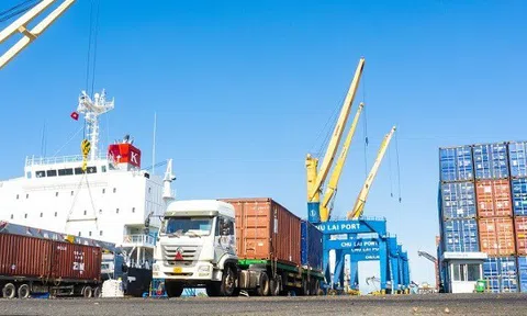 Tập đoàn Thaco đạt lợi nhuận 7.420 tỷ đồng trong năm 2022