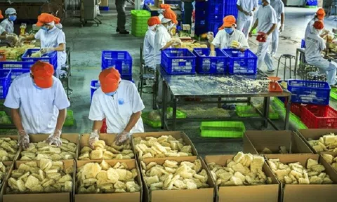 Khối doanh nghiệp FDI khởi sắc từ đầu năm 2023