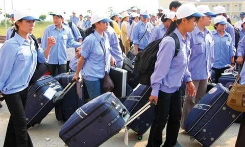 Hỗ trợ chi phí cho người dân tộc thiểu số đi xuất khẩu lao động
