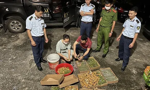 Tết Trung thu chưa về, bánh nhập lậu đã tràn ngập thị trường