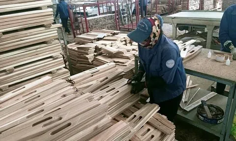 Ngành gỗ cần phát triển doanh nghiệp theo xu hướng kinh tế xanh