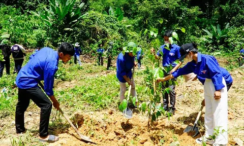 Khởi động chương trình “Triệu cây xanh - Vì một Việt Nam xanh” lần thứ 3 tại Bình Thuận