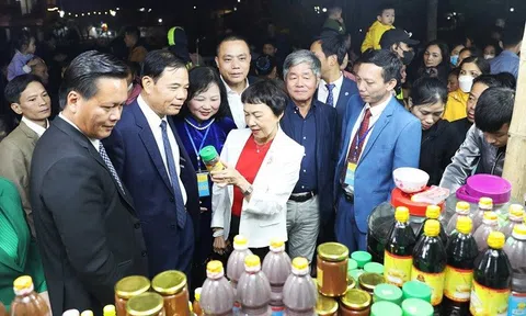 Festival Nông sản - Văn hóa - Ẩm thực - Du lịch huyện Đan Phượng năm 2023: Kết nối doanh nghiệp, mở rộng phân phối tiêu thụ sản phẩm