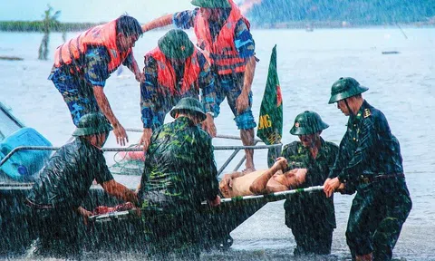 Năm 2023, Việt Nam thiệt hại do thiên tai ước tính hơn 8.200 tỷ đồng