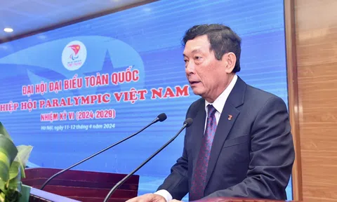 Ông Huỳnh Vĩnh Ái tái đắc cử Chủ tịch Ủy ban Paralympic Việt Nam