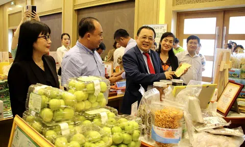 Sắp diễn ra chương trình “Xúc tiến thương mại - Kết nối giao thương Nam Trung Bộ - Tây Nguyên 2024”