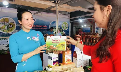 Tôn vinh và trưng bày hàng công nghiệp nông thôn tiêu biểu khu vực phía Bắc