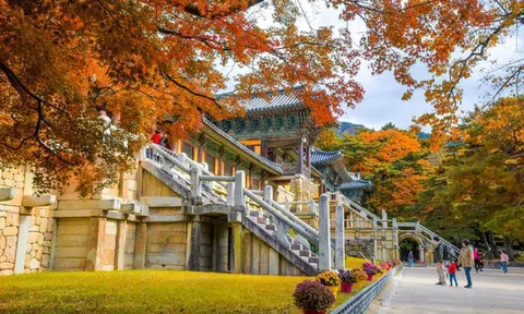 Khách du lịch Việt Nam đến Hàn Quốc đứng thứ 5 thế giới