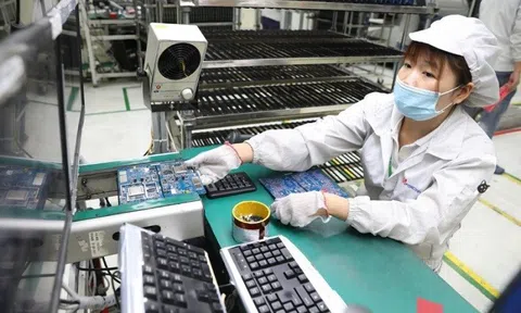 Nhiều công nghệ mới, tiên tiến trong lĩnh vực lạnh và điều hoà không khí tại RHVAC Techshow 2024