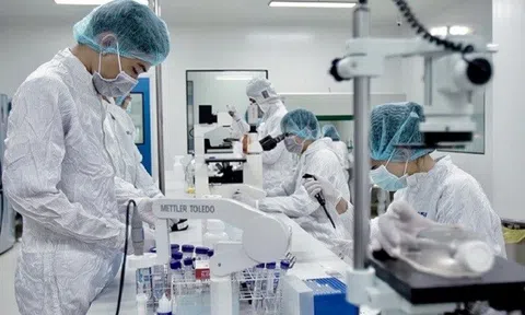 Giải thưởng Bảo Sơn 2024 có 4 giải thưởng, mỗi giải giá trị 120.000 USD