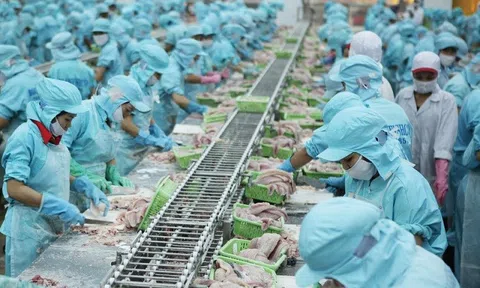 Xuất khẩu thủy sản kỳ vọng cán mốc 10 tỷ USD