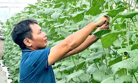 Nông nghiệp hướng tăng trưởng xanh và hành trình thay đổi nhận thức, tư duy sản xuất