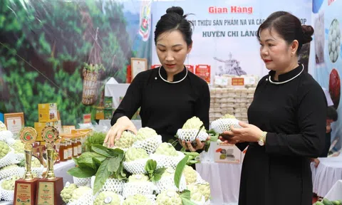 Lạng Sơn đẩy mạnh tiêu thụ sản phẩm OCOP